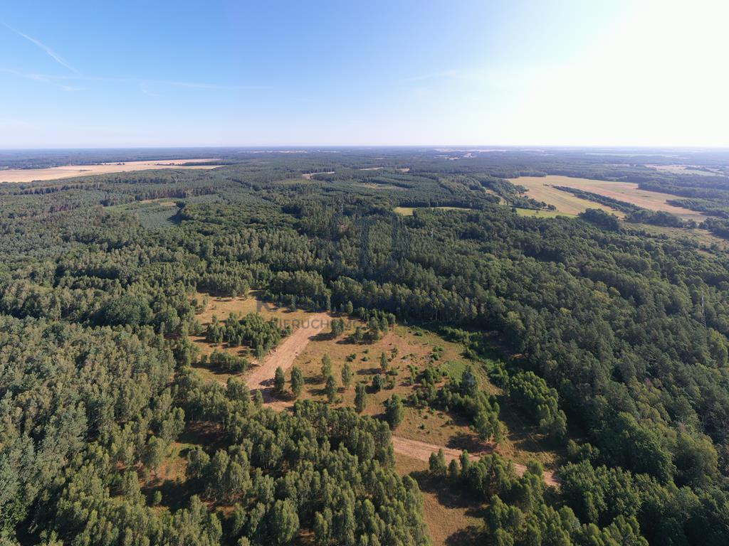 Działka Sprzedaż Osina 3