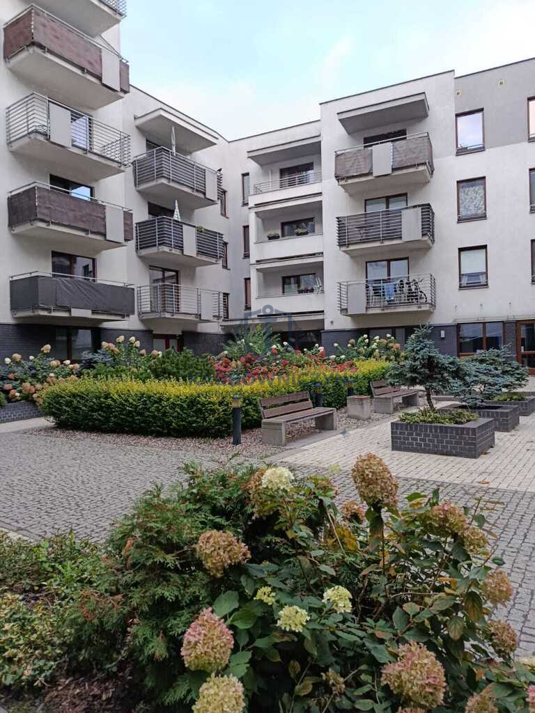 Mieszkanie Wynajem Szczecin Centrum &nbsp;arkowa 12