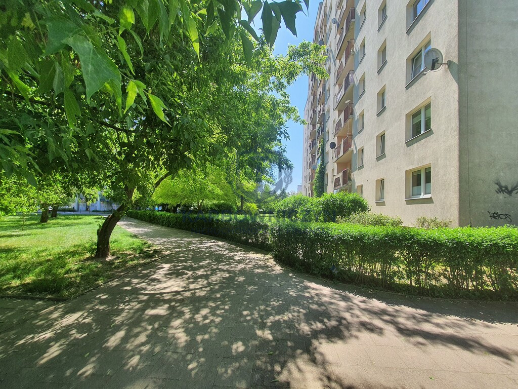 Mieszkanie Wynajem Szczecin Książąt Pomorskich Ks. bpa Władysława Bandurskiego 14