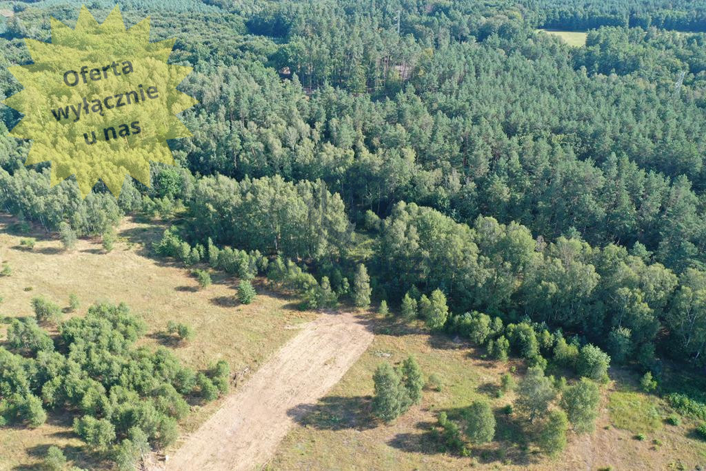 Działka Sprzedaż Krzywice 1