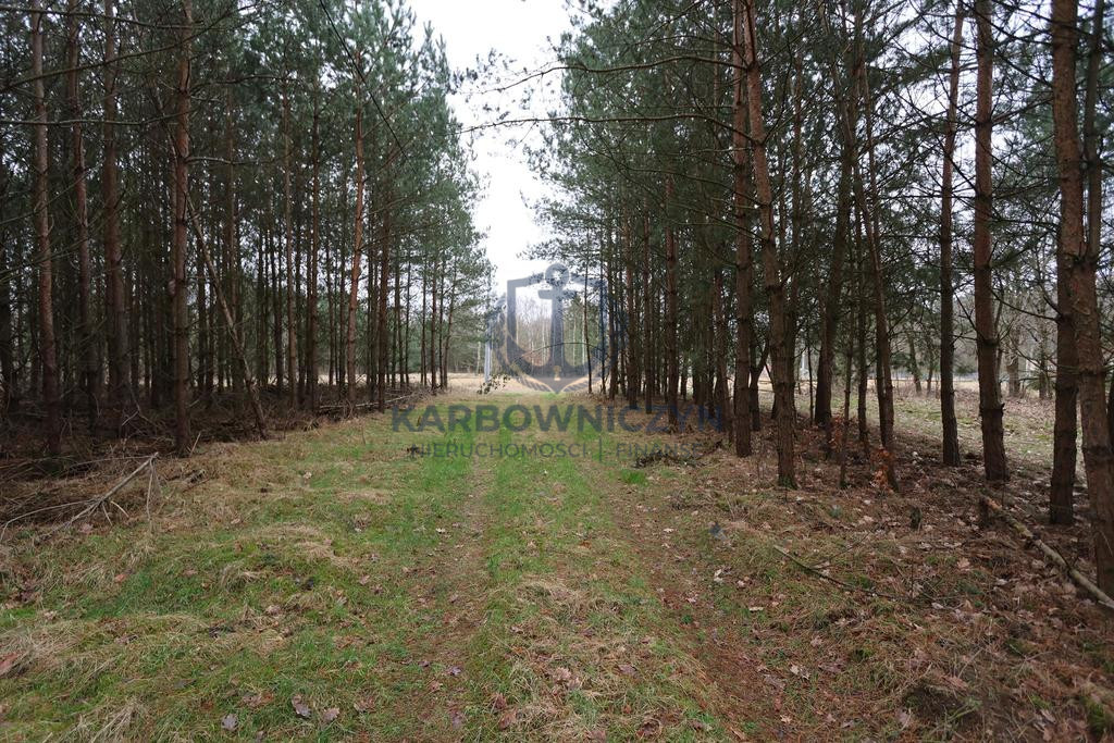 Działka Sprzedaż Krzywice 7