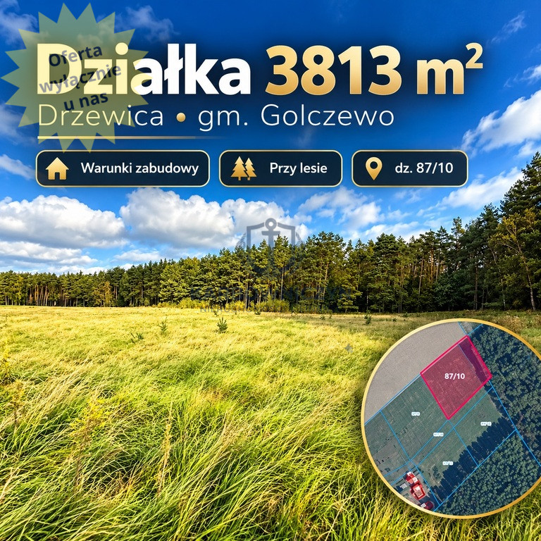 Działka Sprzedaż Drzewica 1