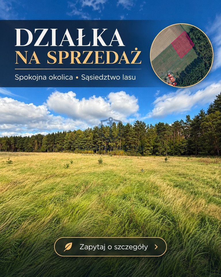 Działka Sprzedaż Drzewica 3