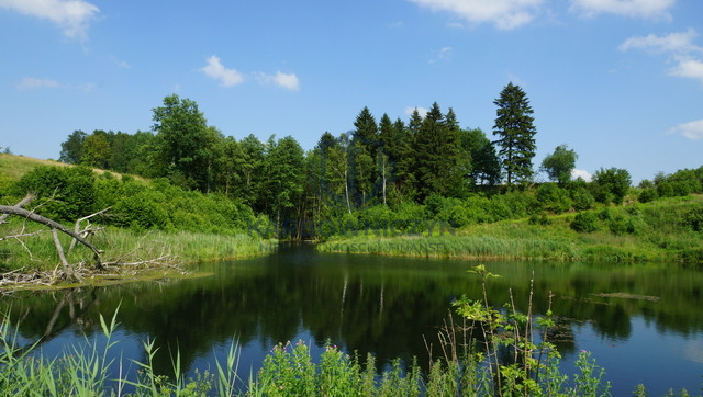 Działka Sprzedaż Bobolice 17