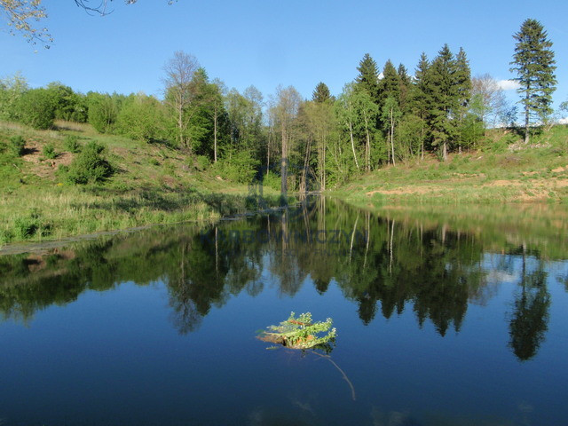 Działka Sprzedaż Bobolice 12