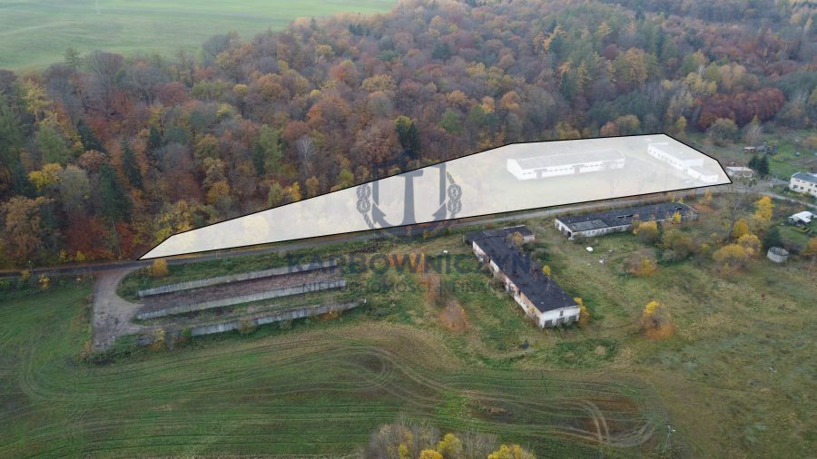 Magazyn Sprzedaż Dziwogóra 3