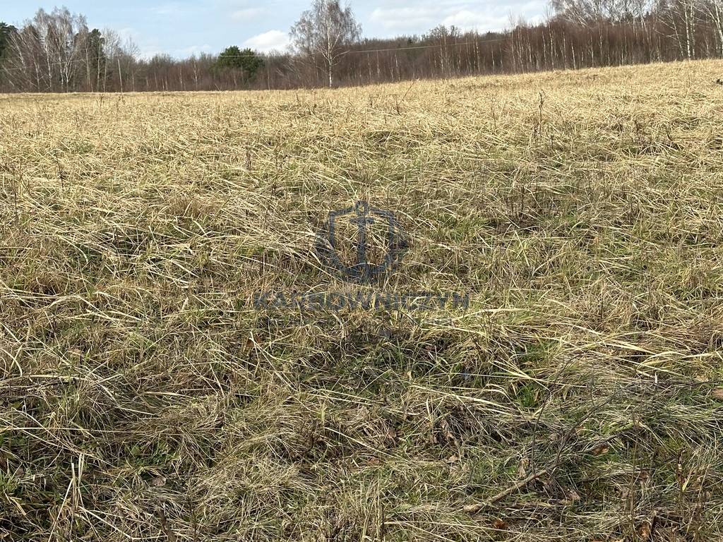 Działka Sprzedaż Storkowo 6