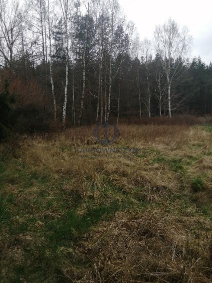 Działka Sprzedaż Stawno 6