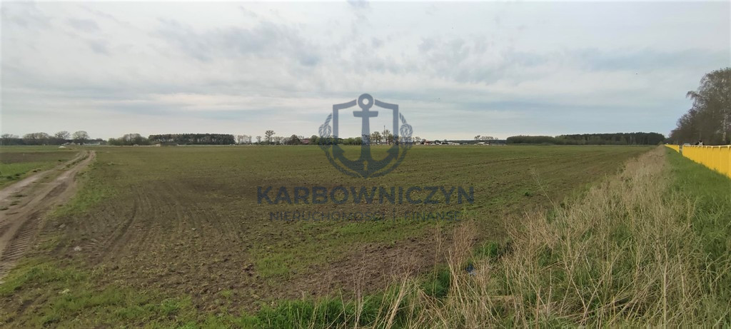 Działka Sprzedaż Lubczyna 1