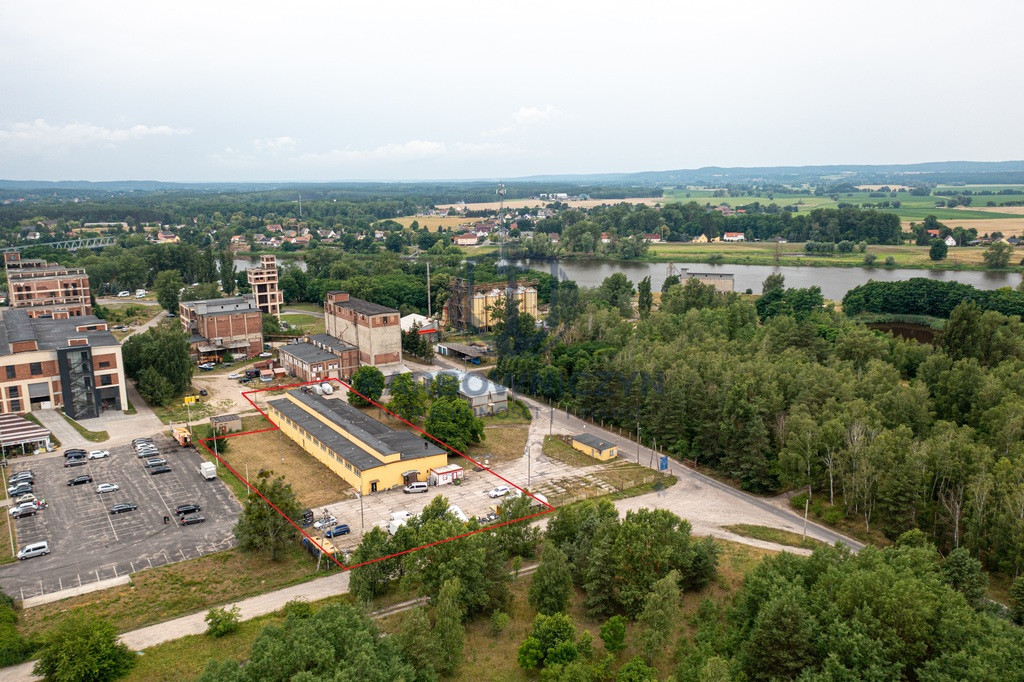 Obiekt Sprzedaż Osinów Dolny 1