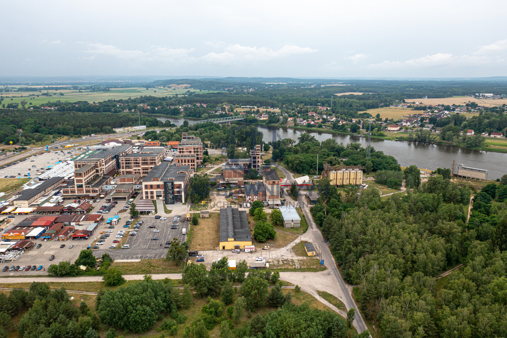 Obiekt Sprzedaż Osinów Dolny 4