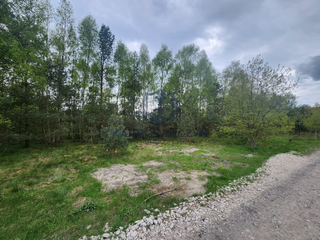 Działka Sprzedaż Tanowo Brzozowa 3