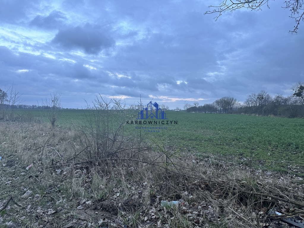 Działka Sprzedaż Ryszewko