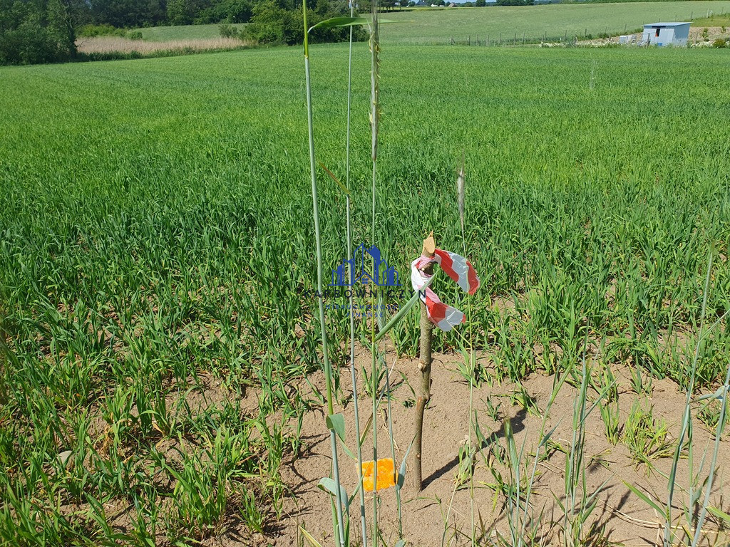 Działka Sprzedaż Zieleniewo