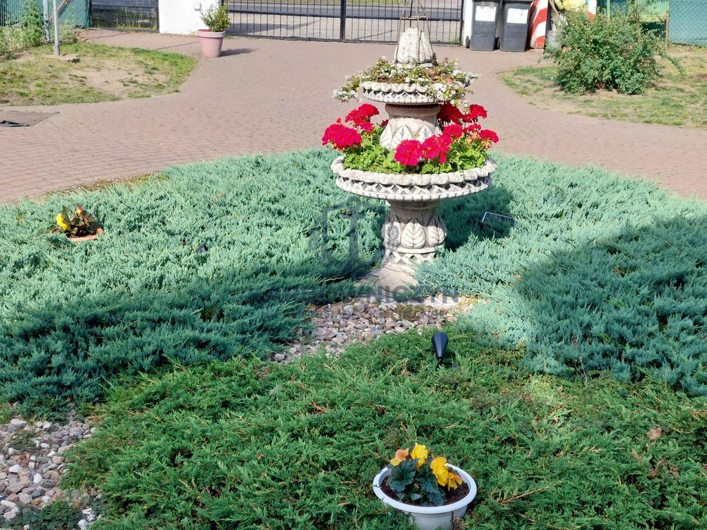 Dom Sprzedaż Pniewo Gryfińska 48