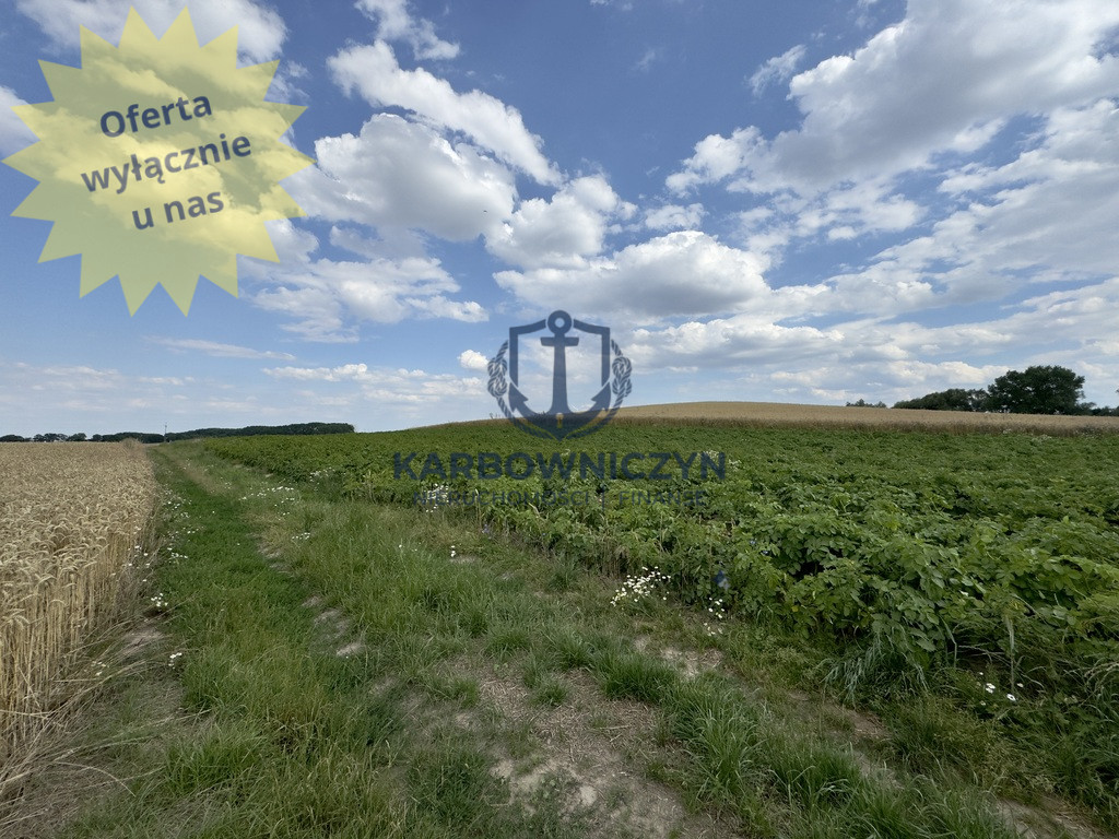 Działka Sprzedaż Bielice 1