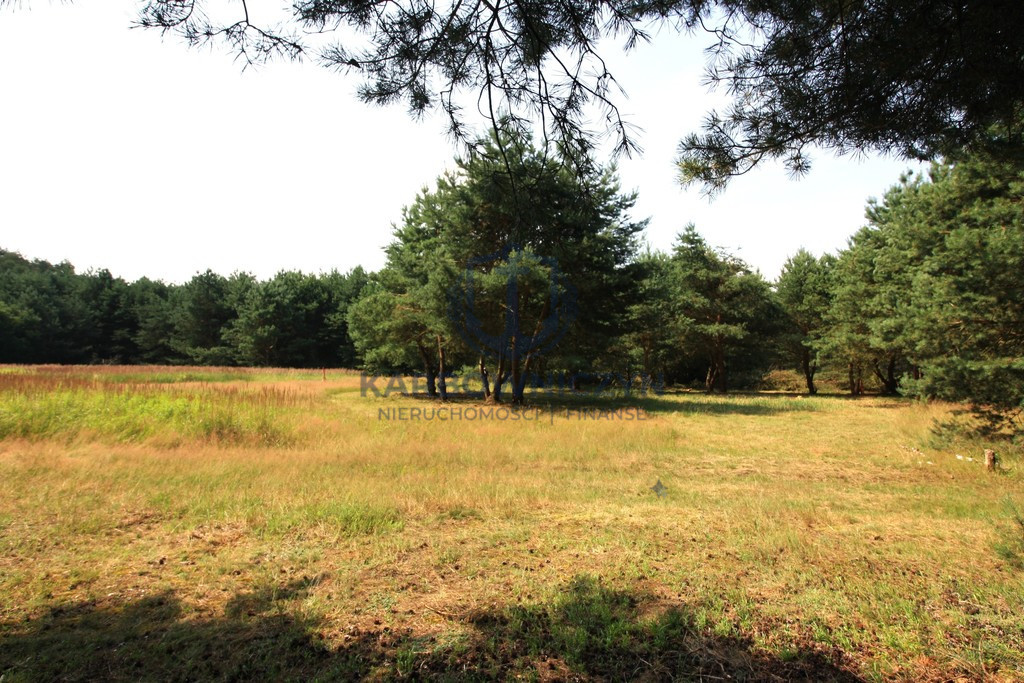 Działka Sprzedaż Szczecin Wielgowo Żywiczna
