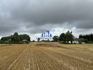 Działka Sprzedaż Kolonia Maszewo