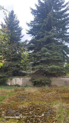 Działka Sprzedaż Recz Kolejowa 1
