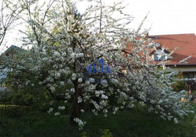 Działka Sprzedaż Szczecin Pogodno