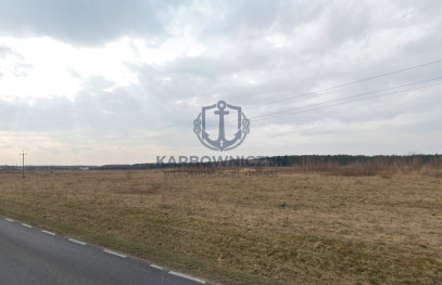 Działka Sprzedaż Skórka