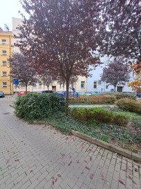 Mieszkanie Sprzedaż Szczecin Śródmieście-Centrum