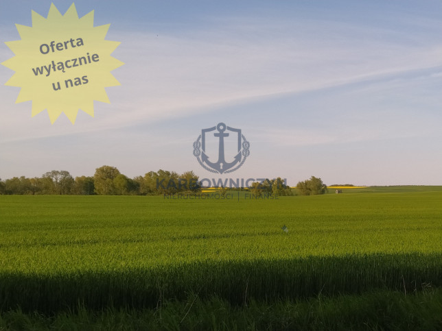 Działka Sprzedaż Recz 1