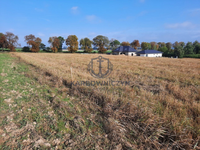 Działka Sprzedaż Kurów 6