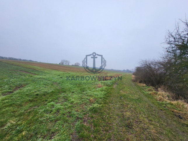 Działka Sprzedaż Warzymice 4