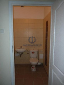 Lokal Wynajem Szczecin Centrum