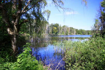 Działka Sprzedaż Bartoszewo