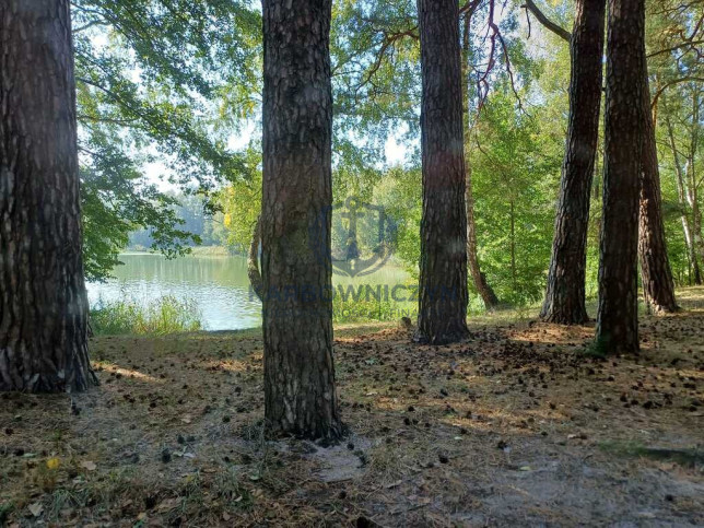 Działka Sprzedaż Bartoszewo 9