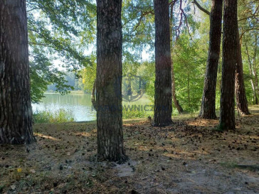 Działka Sprzedaż Bartoszewo