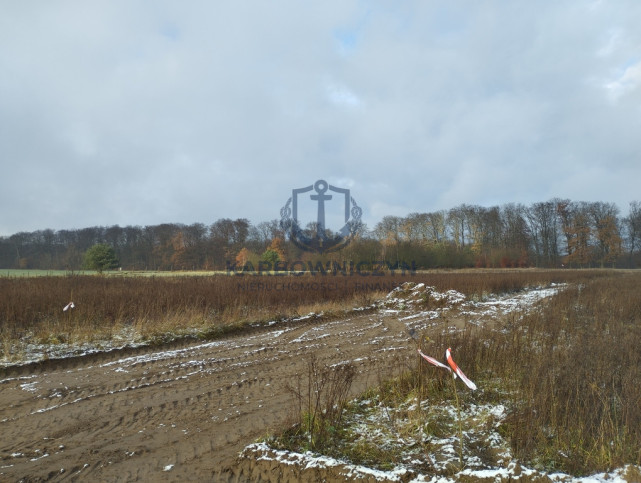 Działka Sprzedaż Dobropole Gryfińskie 3
