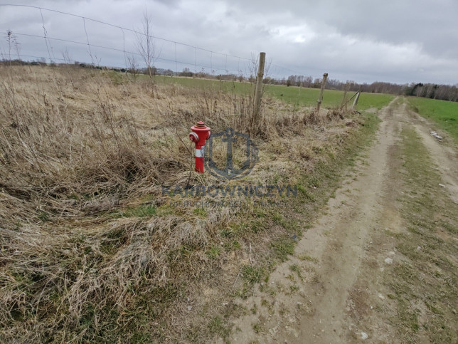 Działka Sprzedaż Wąwelnica 4