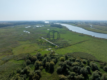 Działka Sprzedaż Stary Błeszyn