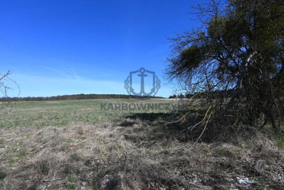 Działka Sprzedaż Buk