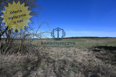Działka Sprzedaż Buk
