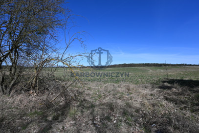 Działka Sprzedaż Buk