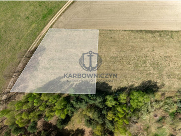 Działka Sprzedaż Kikorze