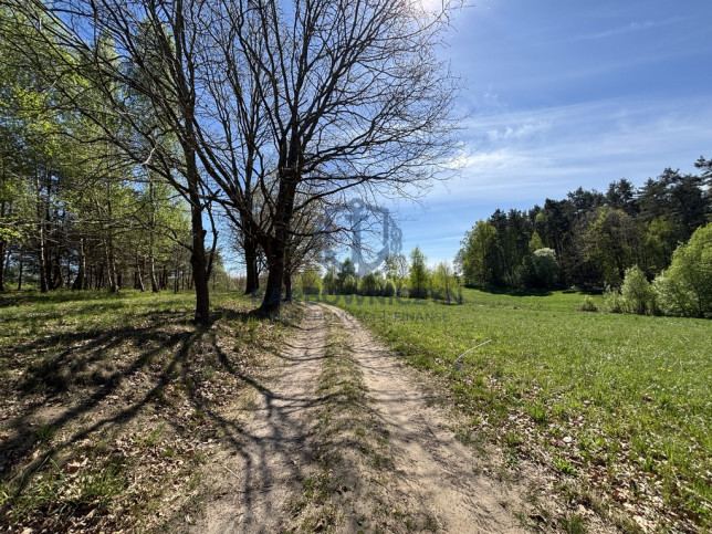 Działka Sprzedaż Kikorze 5