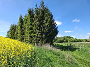 Działka Sprzedaż Parsów