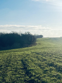 Działka Sprzedaż Skórka Wiśniowa