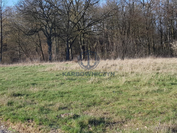 Działka Sprzedaż Kościno