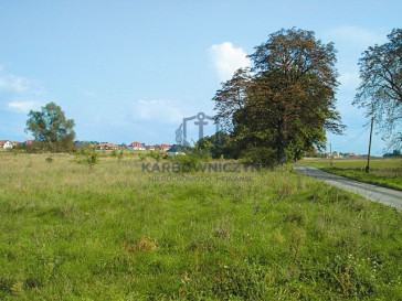 Działka Sprzedaż Kościno