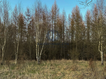 Działka Sprzedaż Błotno Błotny Młyn