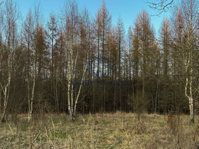 Działka Sprzedaż Błotno Błotny Młyn 3