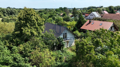 Dom Sprzedaż Gogolice