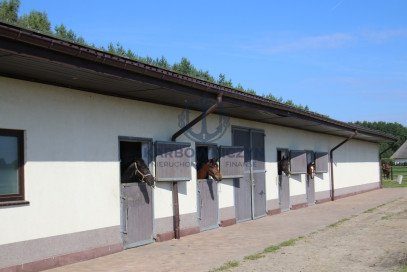 Dom Sprzedaż Dobropole