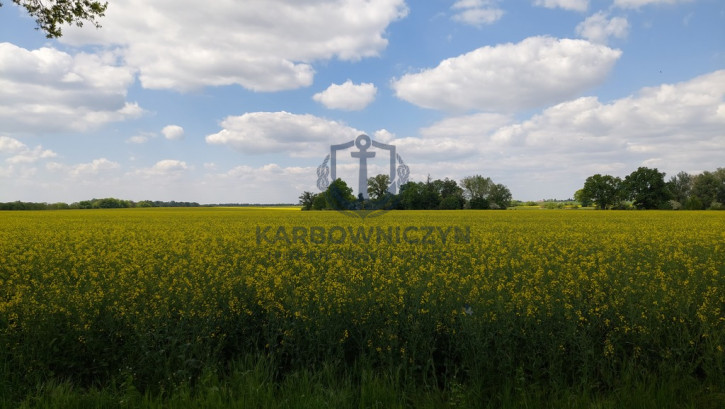 Działka Sprzedaż Mielno 2